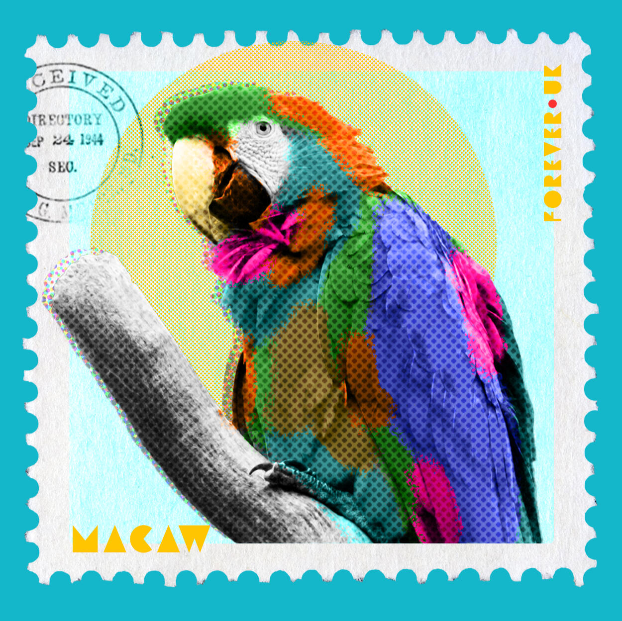 Macaw Stamp Design